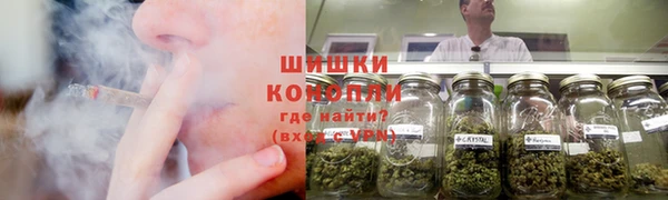 мет Мегион